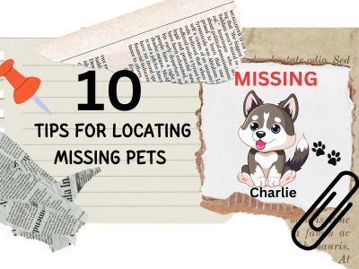 10-Tips-for-locating-missing-pets