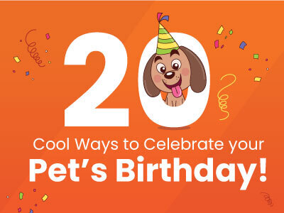 20-Cool-Ways-to-Celebrate-your-Pets-Birthday
