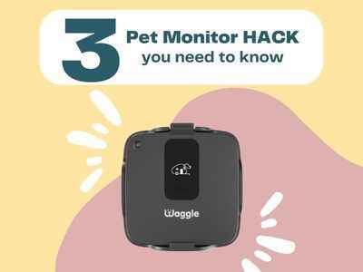3 Hacks to use Pet Monitor