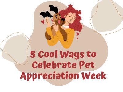 5-Cool-Ways-to-Celebrate-Pet-Appreciation-Week