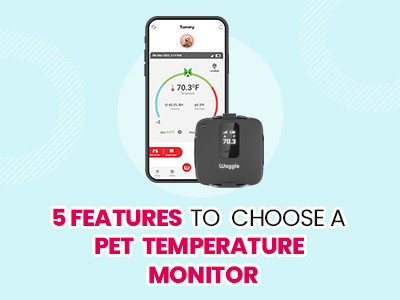 5 features to choose a Pet Monitor