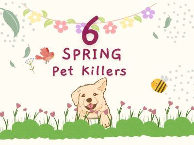 6-Spring-Pet-Killers