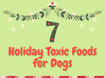 7-Holiday-Toxic-Food-for-Dogs