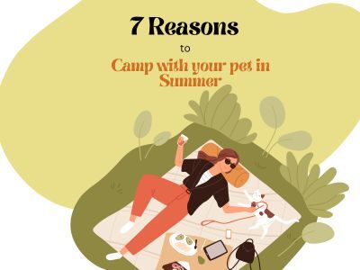 7 Reasons to camp with your pets in summer