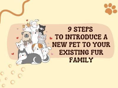 9-STEPS-TO-INTRODUCE-A-NEW-PET-TO-YOUR-EXISTING-FUR-FAMILY