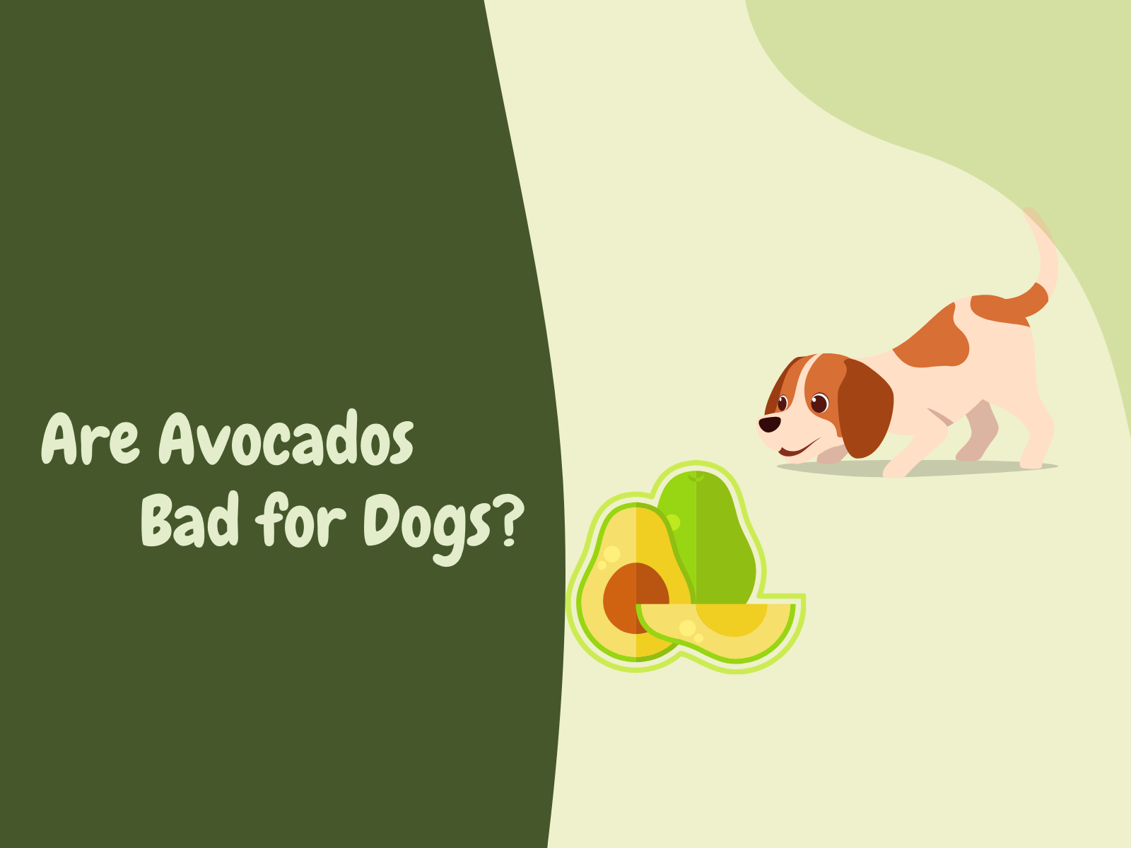 Are-Avocados-Bad-for-Dogs