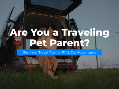 Are-You-a-Traveling-Pet-Parent