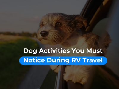 Dog-Activities-You-Must-Notice-Before-They-Lead-to-Danger-During-RV-Travel