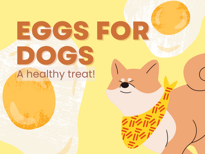 Eggs-for-Dogs