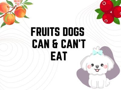 Fruits-Dogs-can-cant-eat