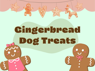 Gingerbread Dog Treats