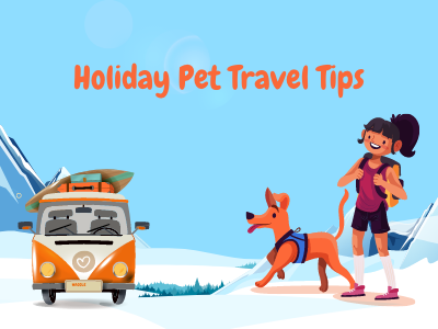 Holiday-pet-travel-tips