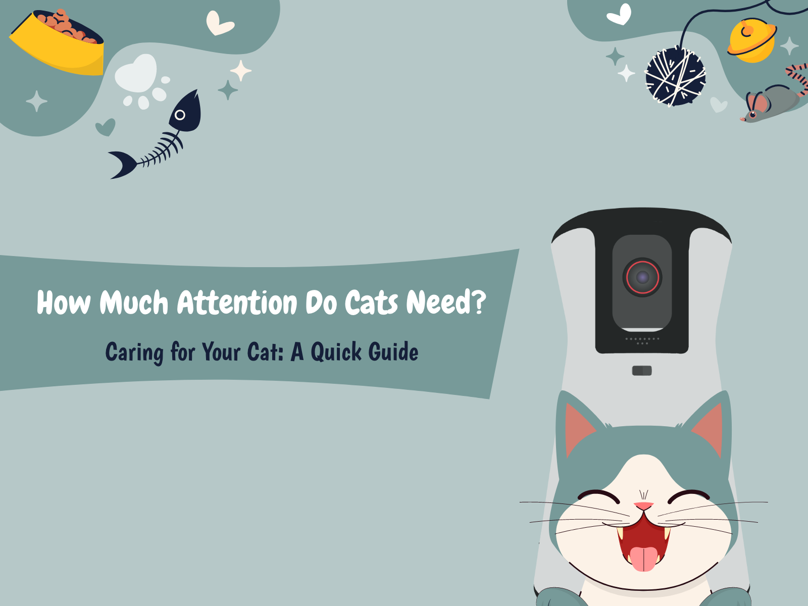 How-much-attention-do-cats-need