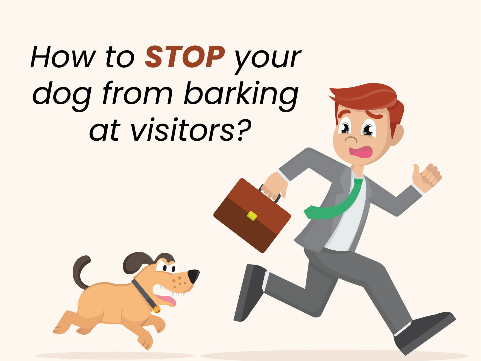 How-to-stop-dog-barking-at-visitors