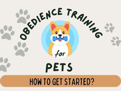 Obedience-Training-for-Pets