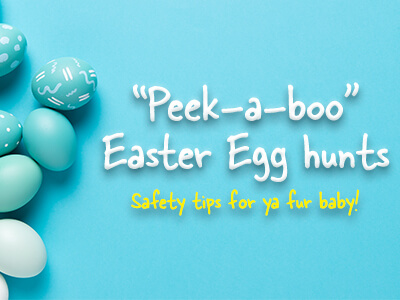 Peek-a-boo-Easter-Egg-hunts
