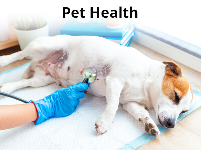 Pet-Health