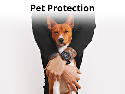 Pet-Protection
