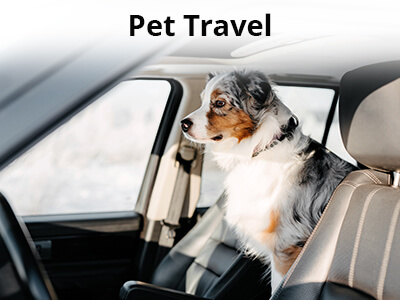 Pet-Travel