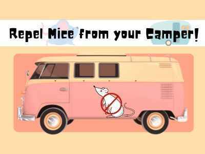 Repel Mice from your Camper