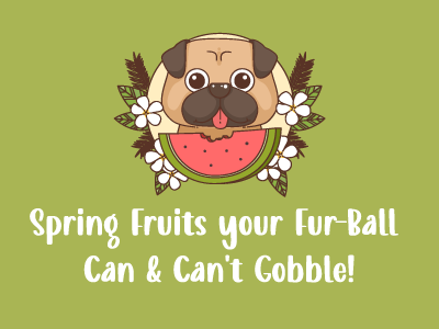 Spring-Fruits-Your-Fur-Ball-Can-Cant-Gobble