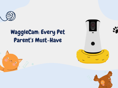WaggleCam-Every-Pet-Parent-Must-have