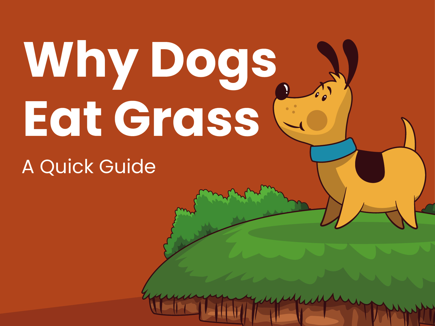 Why-Dogs-Eat-Grass