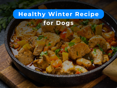 Healthy Winter Recipe for Dogs