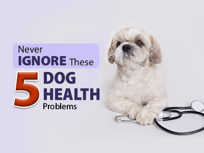 never-ignore-these-5-dog-health-problemscover-page