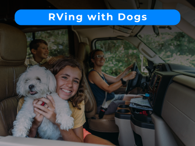 RVing With Dogs