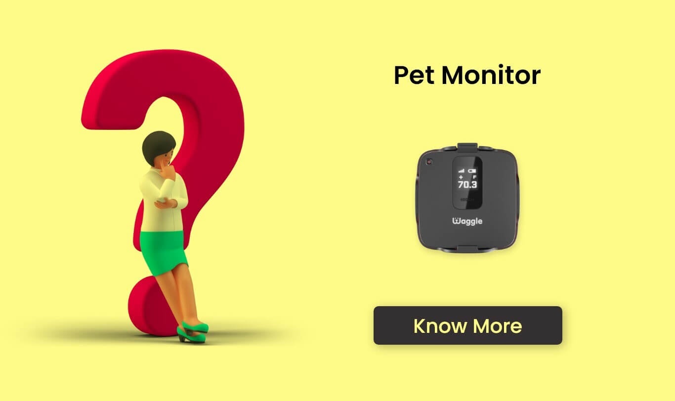 Waggle Pet Monitor FAQ
