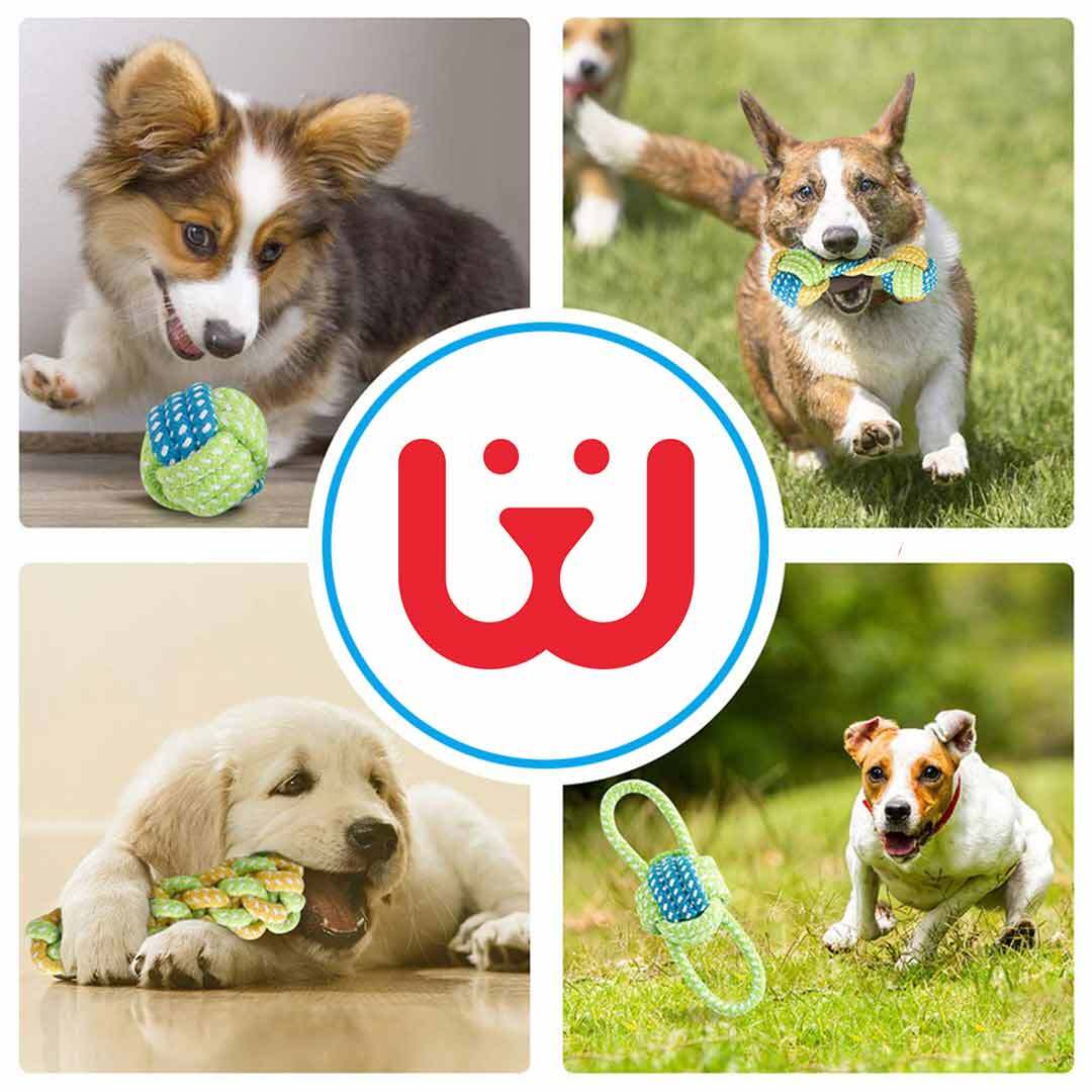 Interactive-Chew-Toys-for-Dogs