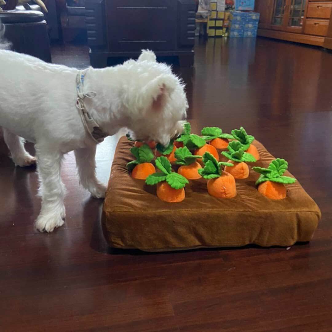 Waggle-Dog-Snuffle-Carrot-Toy-Sets