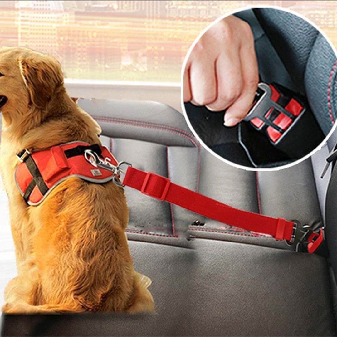 car-seat-belt