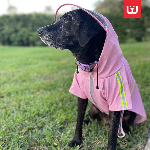 Dog-Raincoat-4