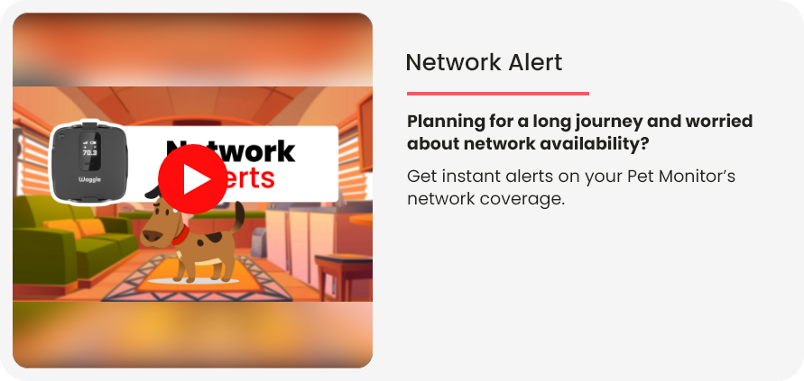 network-alert