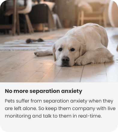 NO-more-separation-anxiety