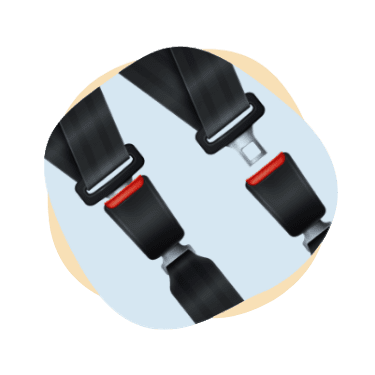 pet-seat-belt